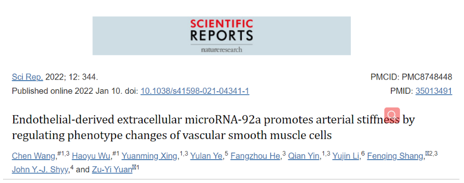 内皮来源的细胞外 microRNA-92a 通过调节血管平滑肌细胞的表型变化促进动脉硬化