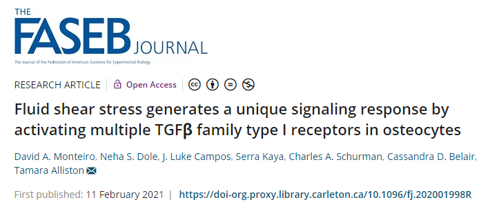 流体剪切应力通过激活骨细胞中的多个 TGFβ 家族 I 型受体产生独特的信号反应