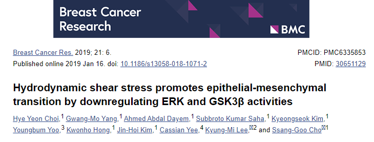 流体动力剪切应力通过下调 ERK 和 GSK3β 活性促进上皮-间充质转化