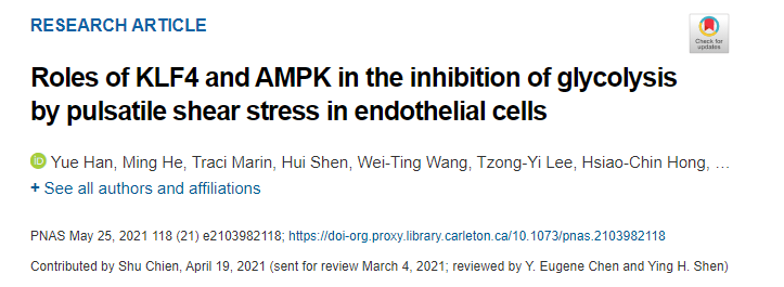 KLF4和AMPK在内皮细胞脉冲剪切应力抑制糖酵解中的作用