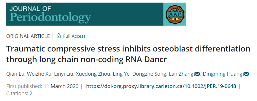 创伤性压缩应力通过长链非编码 RNA Dancr 抑制成骨细胞分化