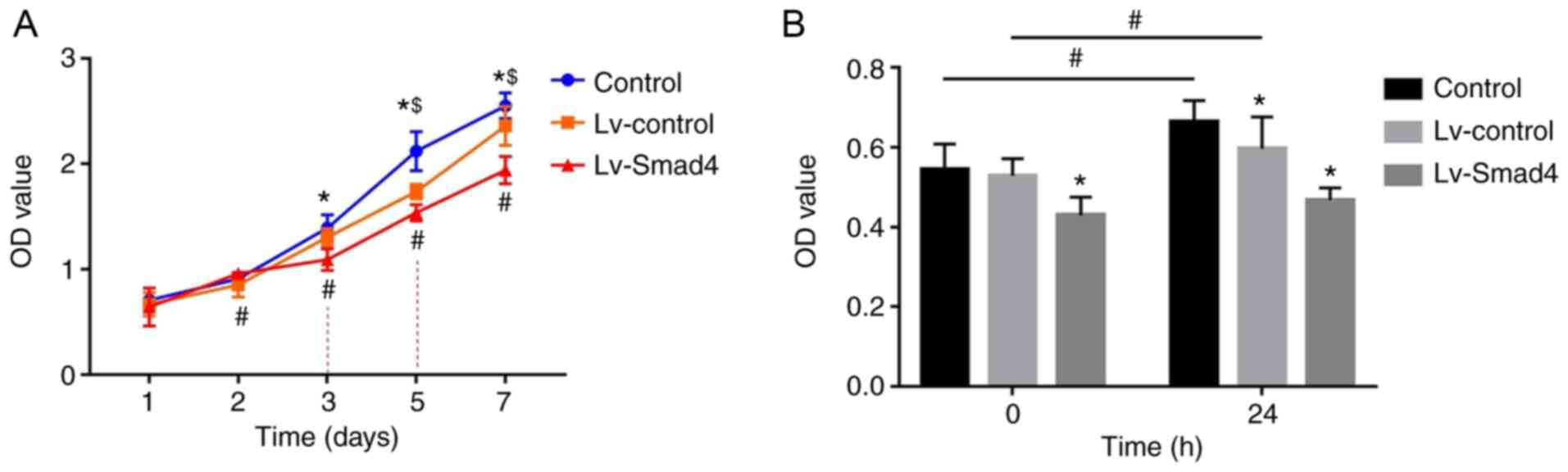 Smad4对静压力下PLGA三维支架人牙龈成纤维细胞Caspase-3及Bcl-2表达的影响
