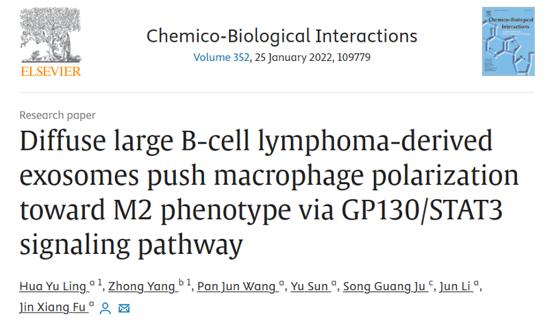 弥漫性大B细胞淋巴瘤外泌体通过GP130/STAT3信号通路推动巨噬细胞向M2表型极化
