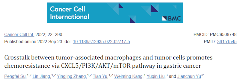 肿瘤相关巨噬细胞与肿瘤细胞之间的串扰通过CXCL5/PI3K/AKT/mTOR通路促进胃癌的化疗抵抗