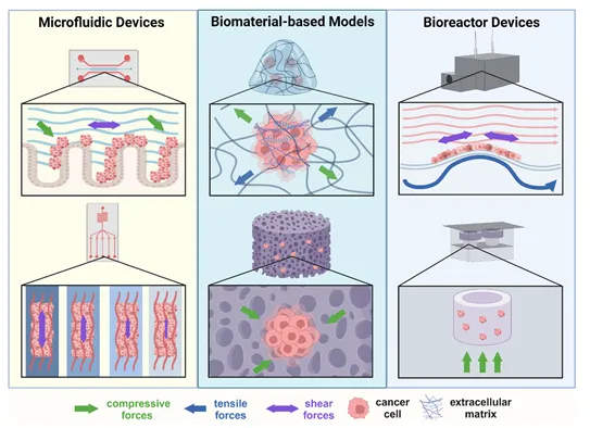 癌症力学生物学的进展：转移、力学与材料