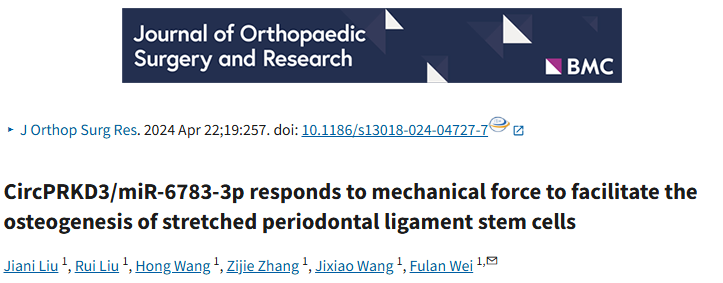 CircPRKD3/miR-6783-3p 响应机械力促进牵张状态牙周膜干细胞成骨